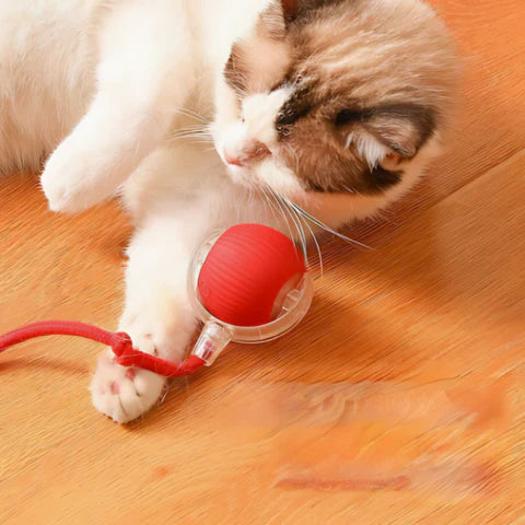 FelineFun®️|Juguete Interactivo para Gatos
