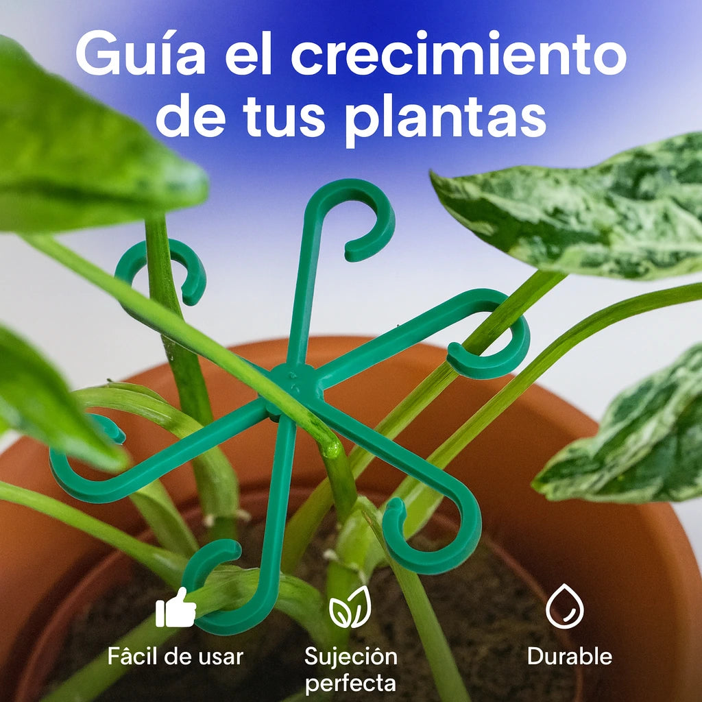 Climba®️|Soporte para plantas