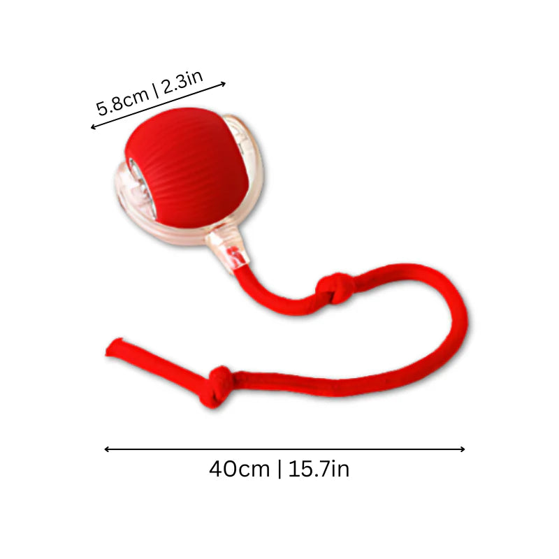 FelineFun®️|Juguete Interactivo para Gatos