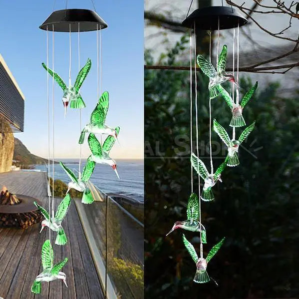 ColibriGlow® |Ilumina tu mundo