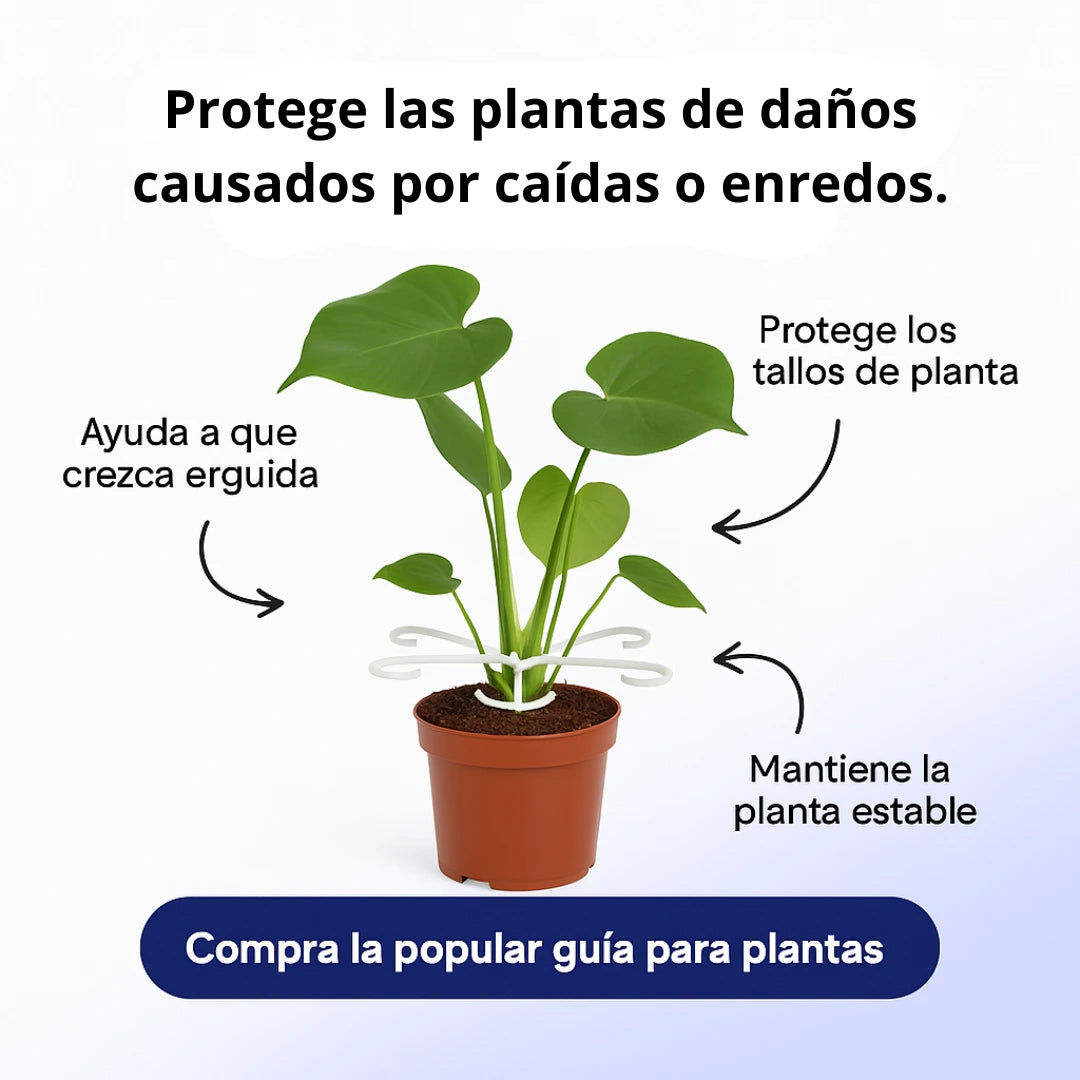 Climba®️|Soporte para plantas