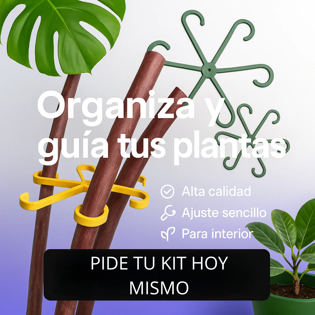 Climba®️|Soporte para plantas