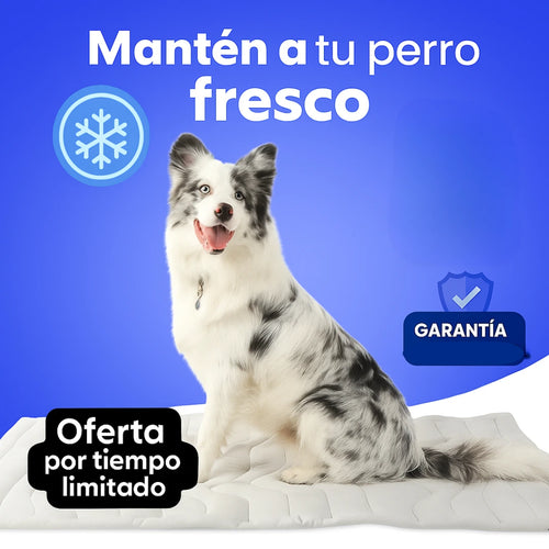 FreskoPet®️|Cama Refrescante Para Tu Perro