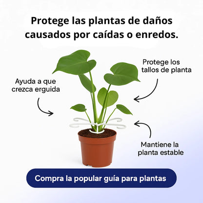 Climba®️|Soporte para plantas